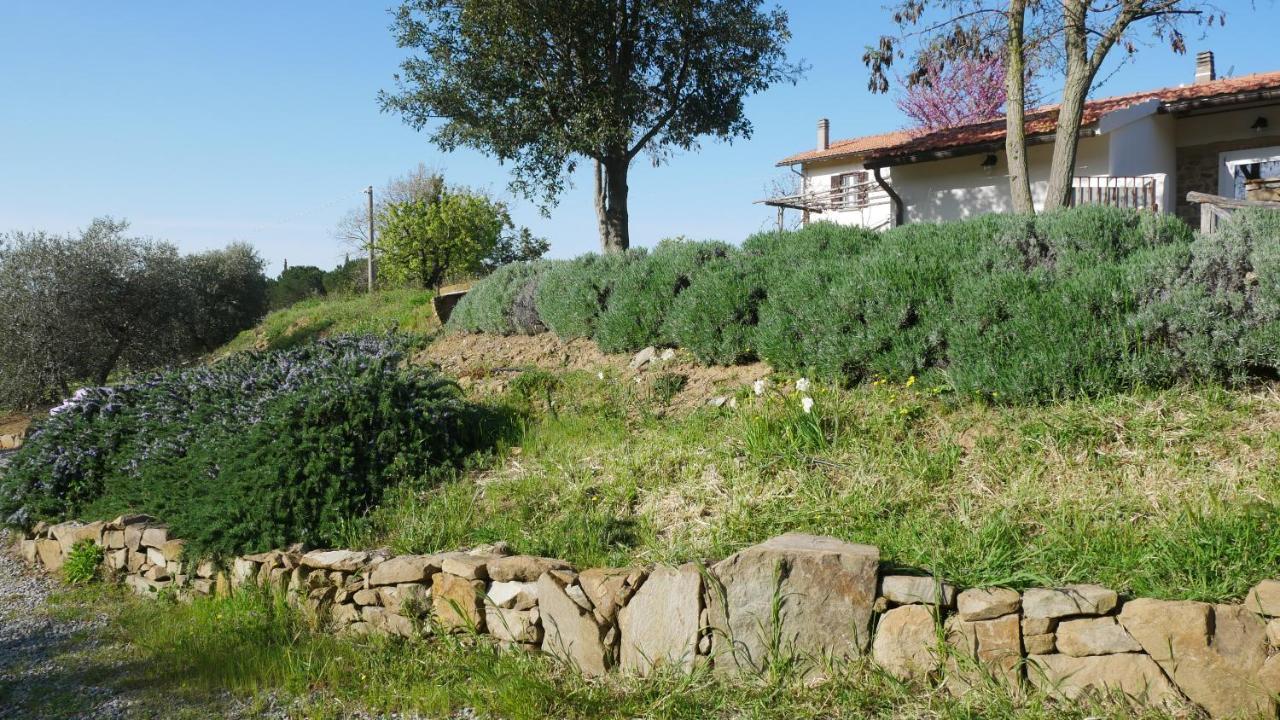 Tenuta Le Mandorlaie, Agriturismo In Scansano Exterior foto
