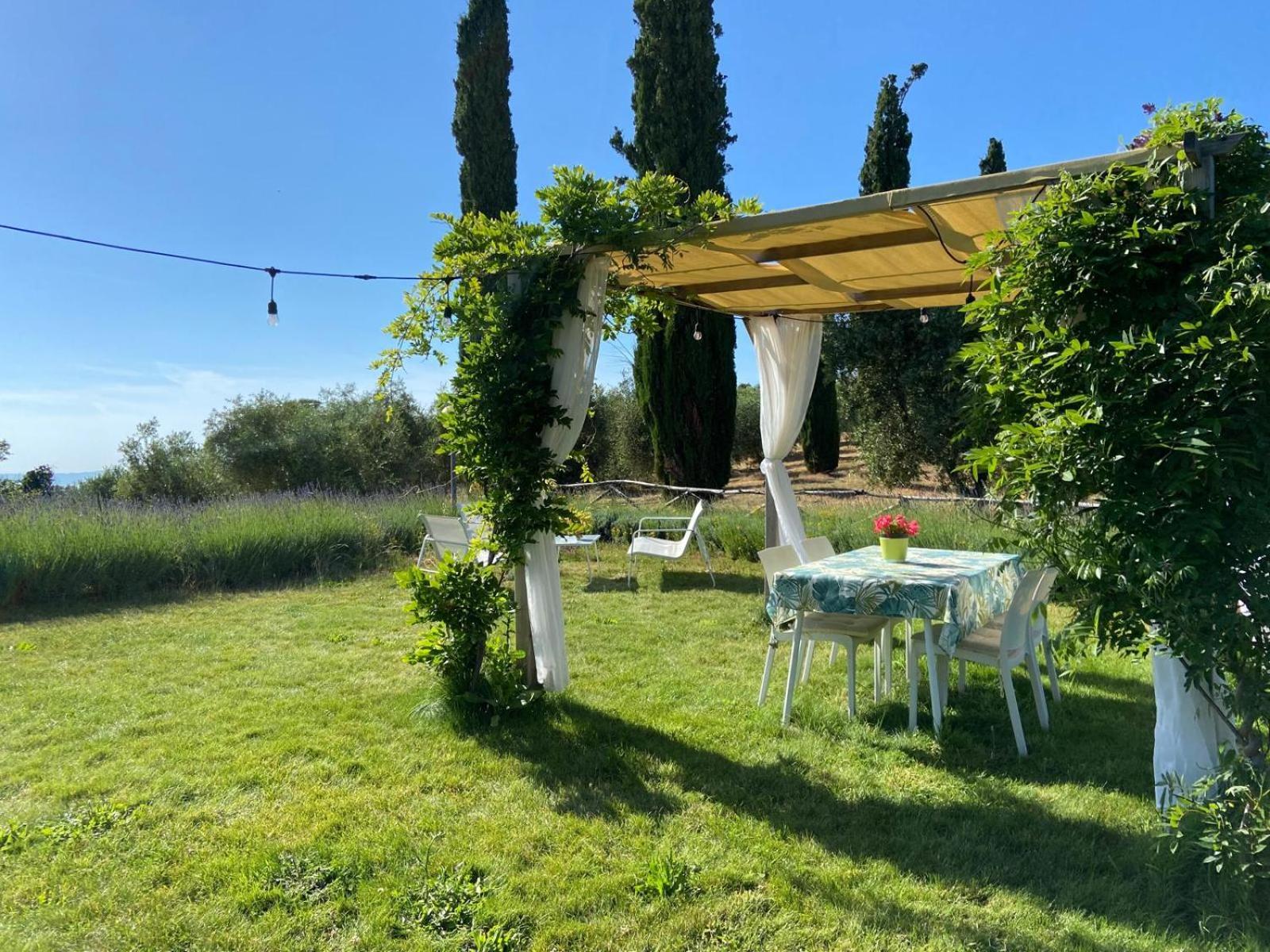 Tenuta Le Mandorlaie, Agriturismo In Scansano Exterior foto