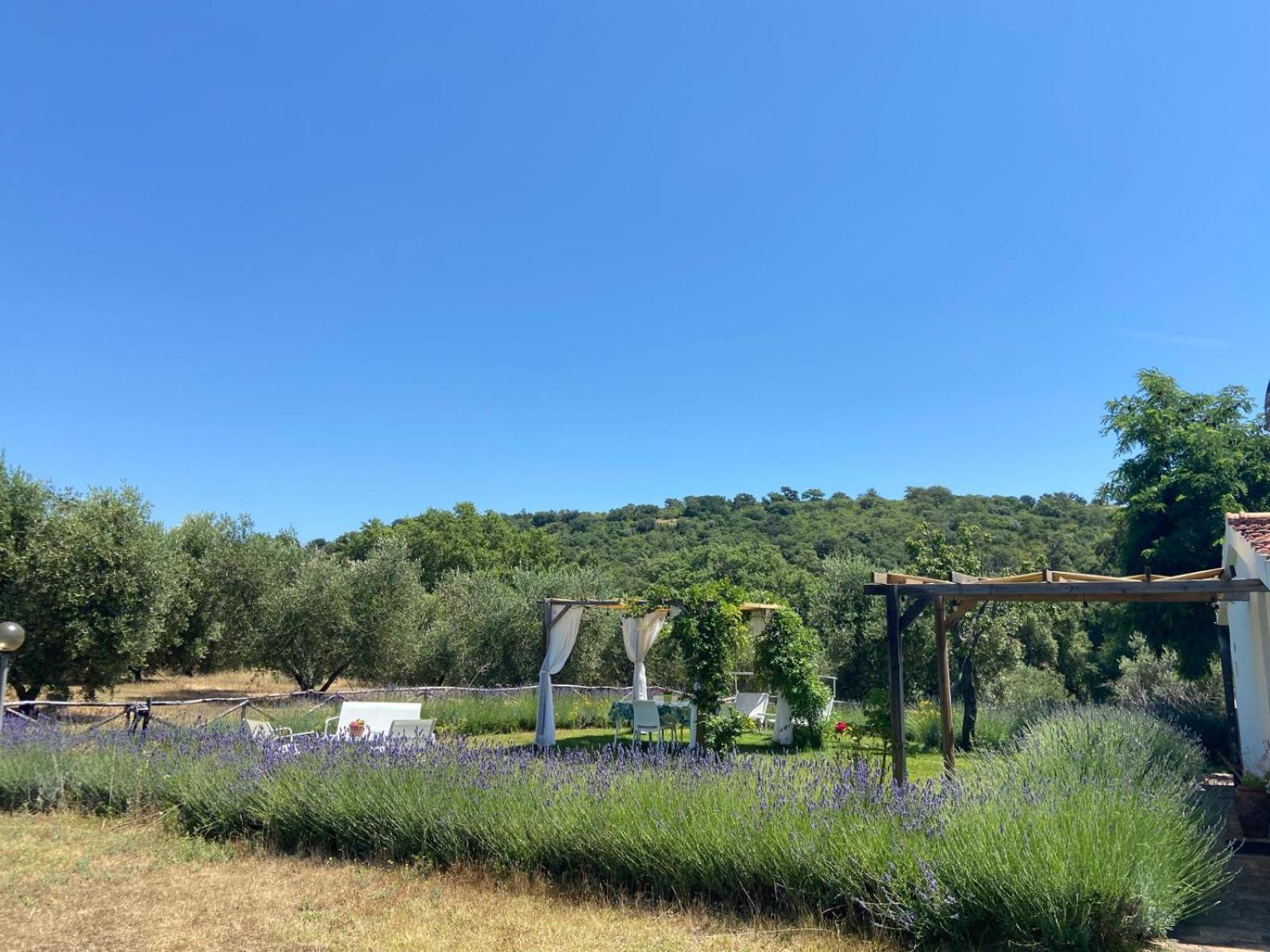 Tenuta Le Mandorlaie, Agriturismo In Scansano Exterior foto