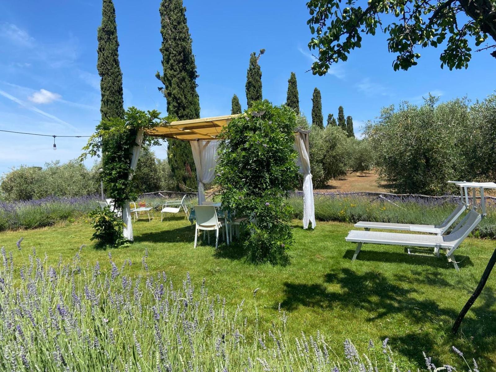 Tenuta Le Mandorlaie, Agriturismo In Scansano Exterior foto