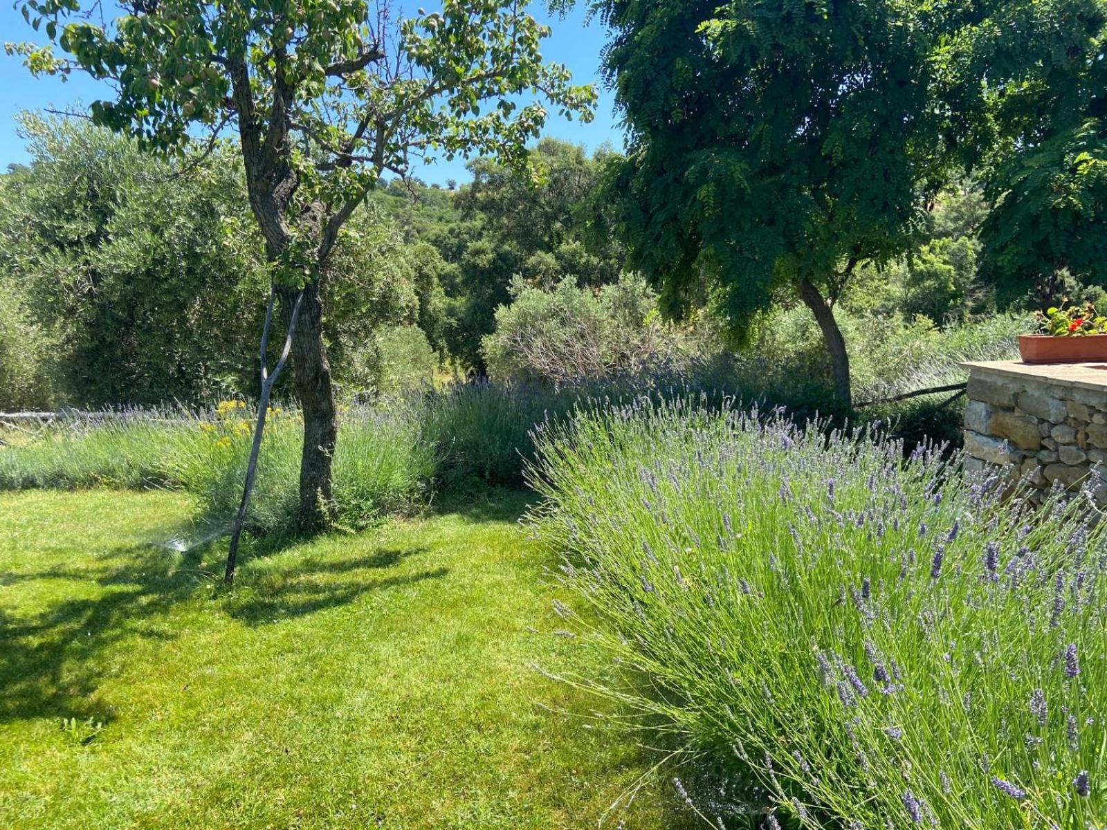 Tenuta Le Mandorlaie, Agriturismo In Scansano Exterior foto